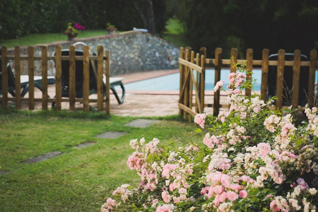 Villa Capannina Vico d'Arbia Esterno foto